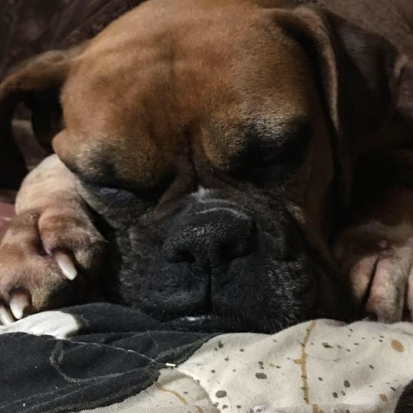 Meet your Posher, Kylee - Picture 1 of 1